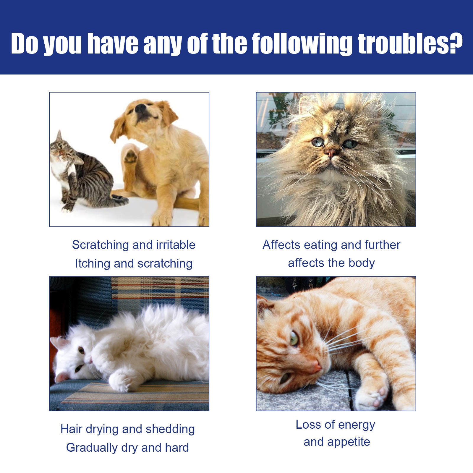 Pet Flea Spray Cat And Dog Pet Skin Cleaning External Lice Repellent And Tick Spray